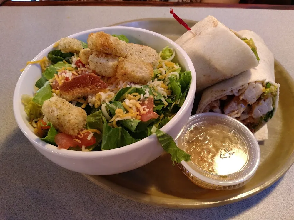 Chicken Wrap and Salad